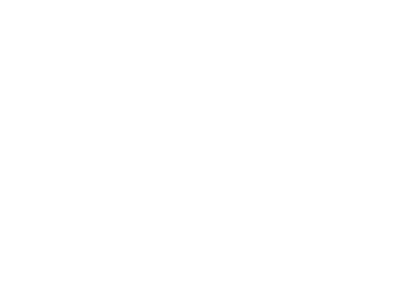 FONDAZIONE VITALIS LOGO