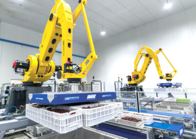 UNI Robotics