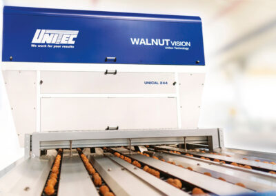 walnut vision